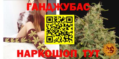 гашик Гусев