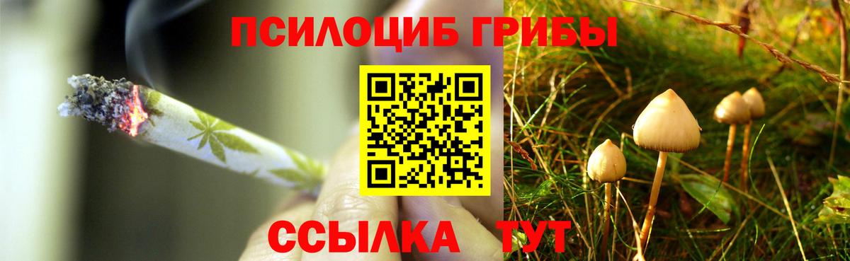 Михайловка  Псилоцибиновые грибы мицелий  Псилоцибиновые грибы MAGIC MUSHROOMS  Вход с VPN 